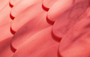 Greytree plastic roof costs