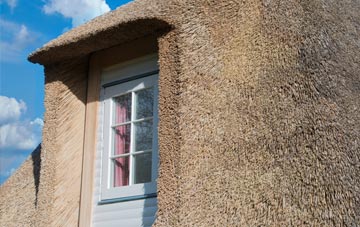 Greytree thatch roof disadvantages